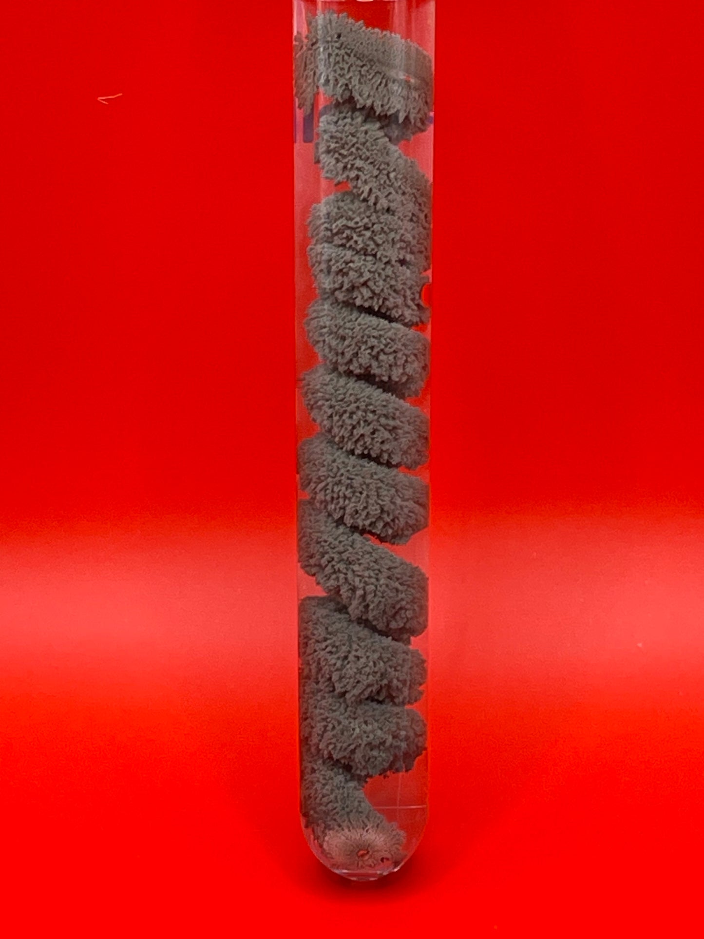 The Silver Crystal Coil