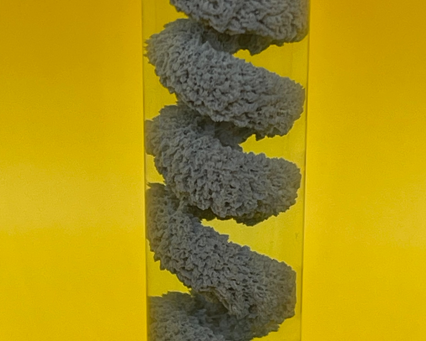 The Silver Crystal Coil